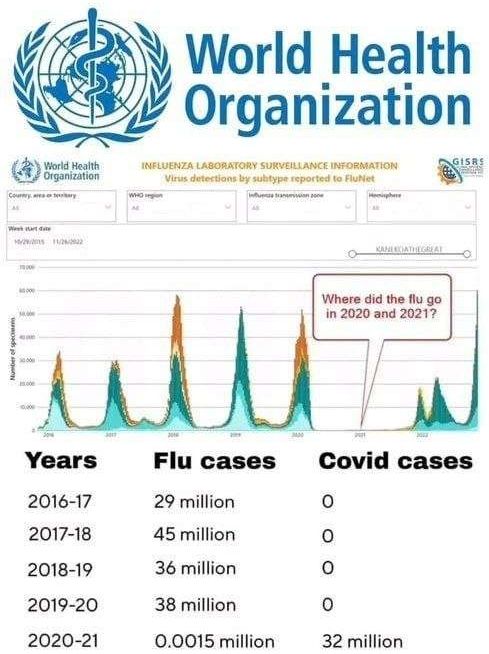 Estadísticas finales de la Plandemia