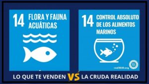 Hasta los océanos quieren controlar
